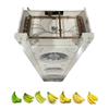 Evaporator for Banana Ripening Room